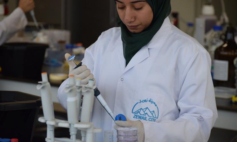 Zewail Research Work Example Zewail City of Science, Technology and Innovation.