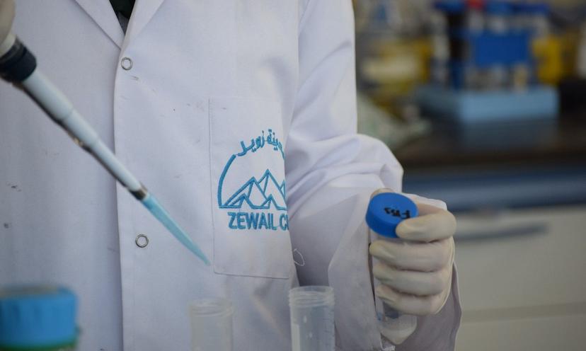 Zewail Research Work Example Zewail City of Science, Technology and Innovation.